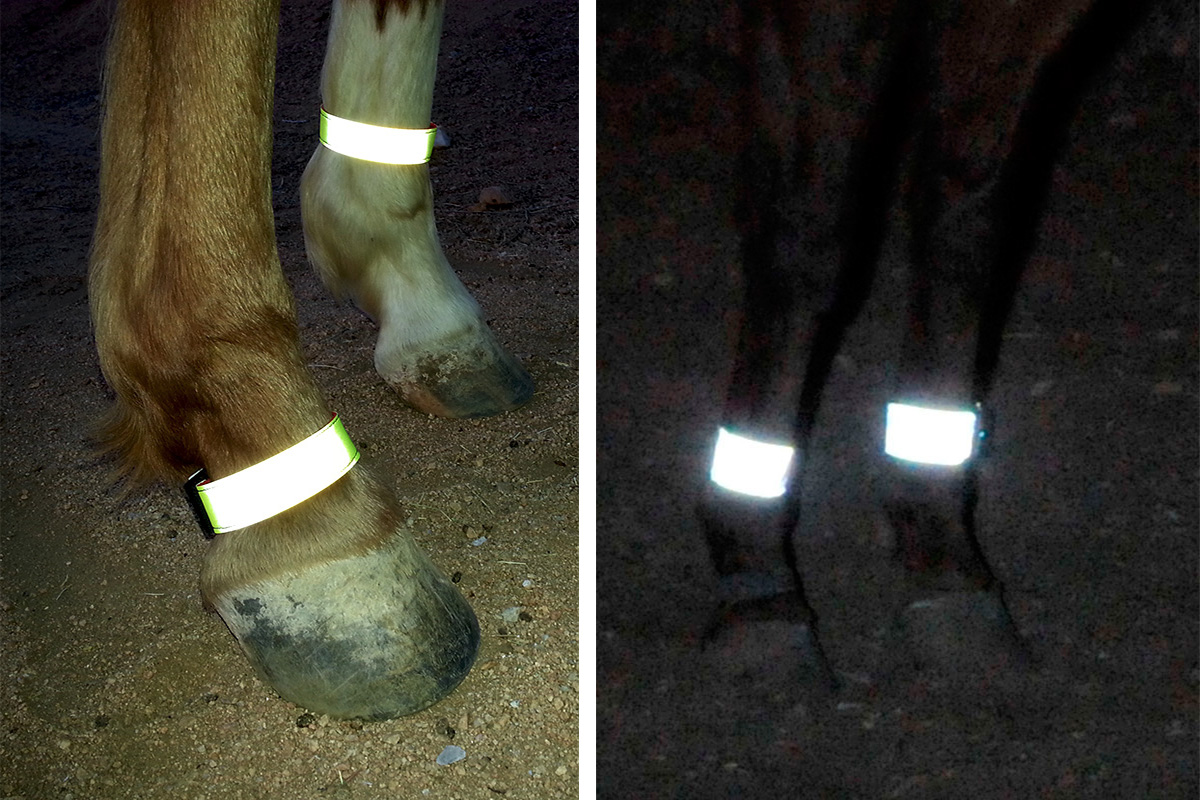 EquestriSafe Clever and Easy to Use Equine Identification & Safety