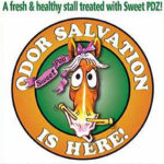 Sweet PDZ Odor Salvation 1