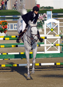 Sport Horse