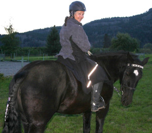 Brilliant Solutions™ LED Lights and Saddle Skirt from HappyHorseRiders.com