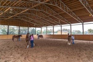 Indoor Arena