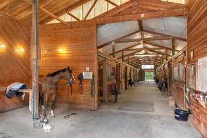 stables3_mls