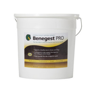 Benegest