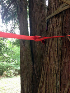 tree saver strap