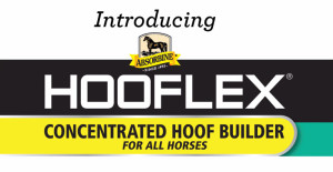 Hoof Supplement