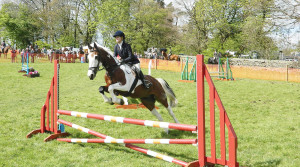 Horse Jumping
