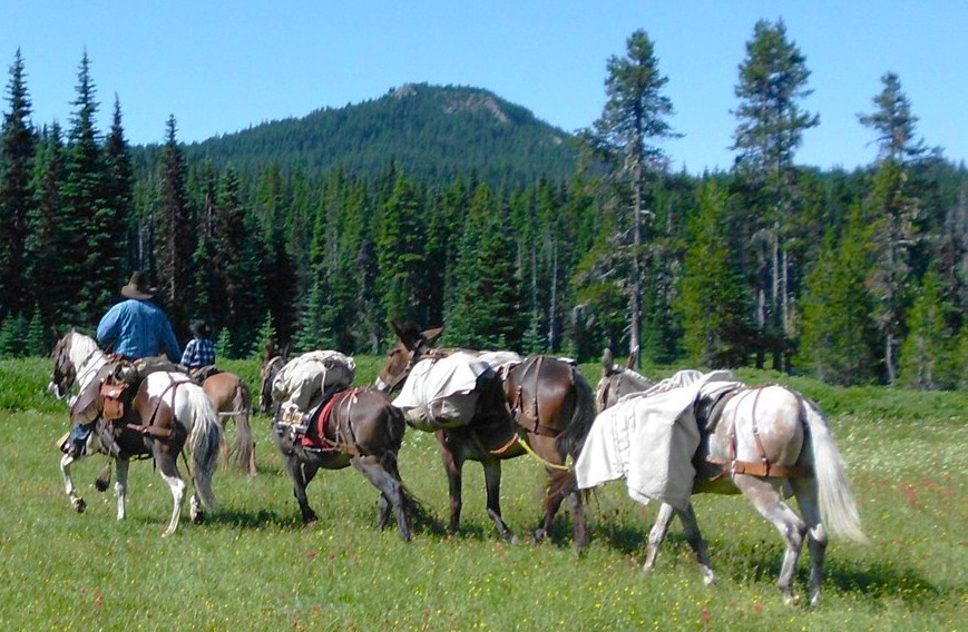 Oregon horse pack