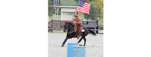 Thoroughbred