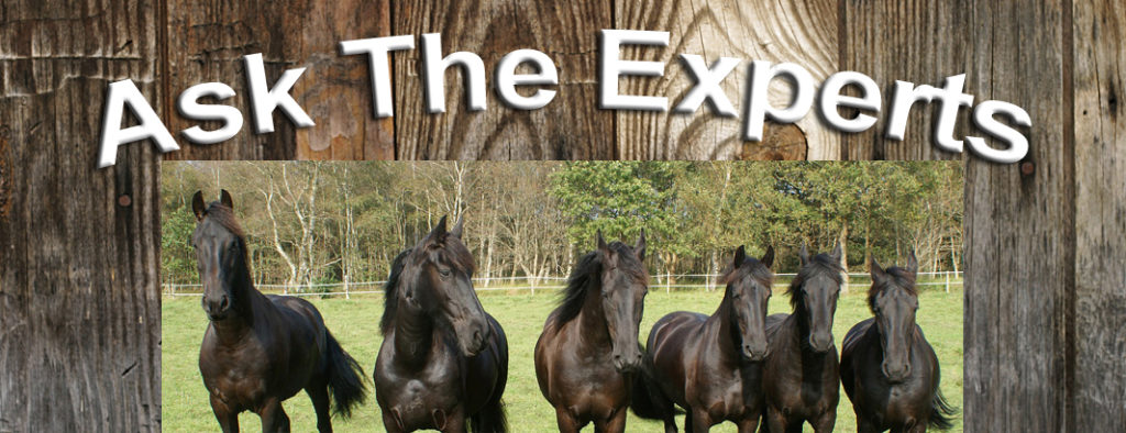 Ask The Experts Featured Conformation Barging