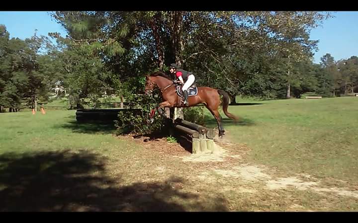 Emily Eventing