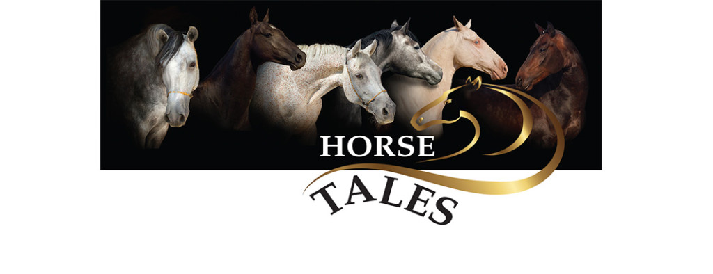 Horse Tales -WSHE