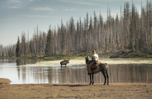 Unbranded