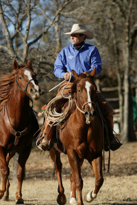 Horse Industry