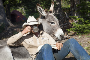 Unbranded