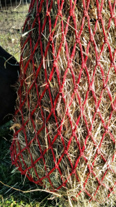 hay net close up