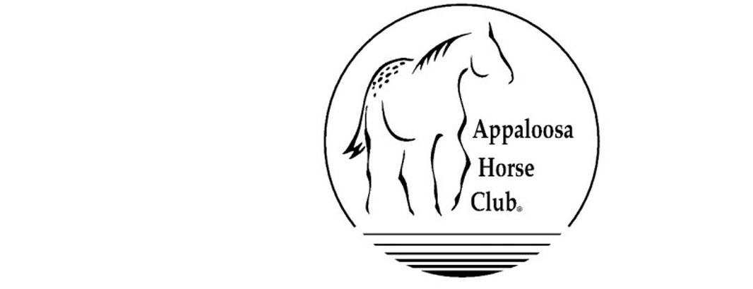 Appaloosa Characteristics – Appaloosa Horse Club (ApHC) UK