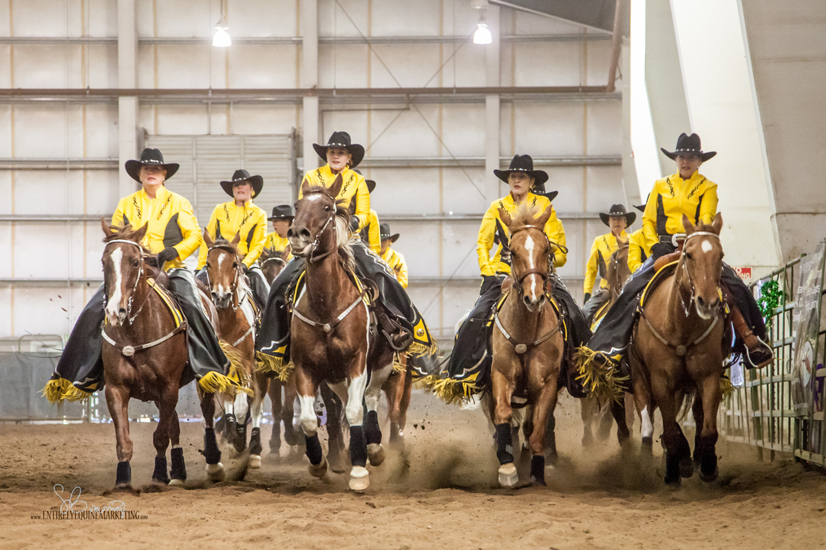 Northwest Horse Fair & Expo 2016 Coming Soon to Albany! The