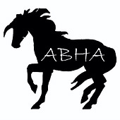 American Blazer Horse Association