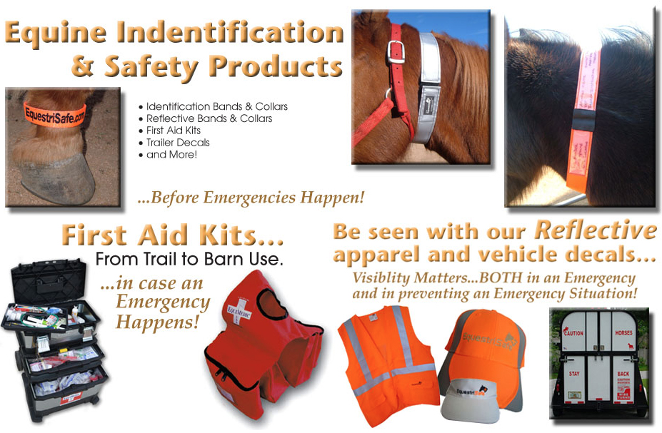 EquestriSafe Main Page