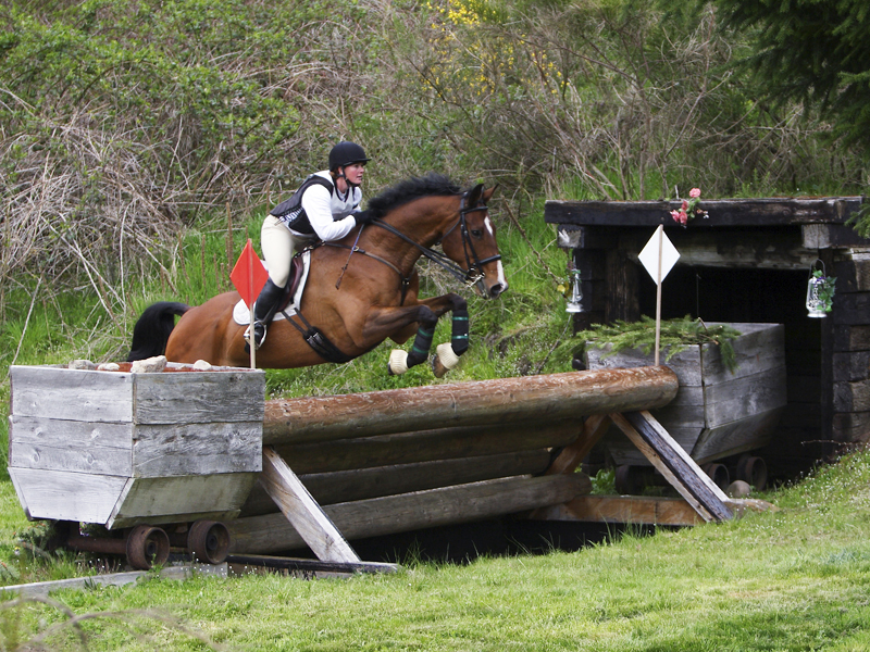 Equine Guelph Jump
