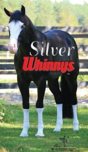 Sox for Horses silver Whinnys with text