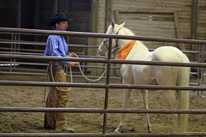 Trainer, Evan Bonner of Seattle works with unbroke mare, Violet
