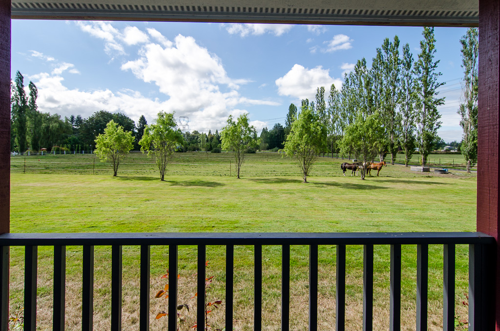 ︎REDUCED PRICE!⬅︎ Blaine, WA Horse Farm The Northwest Horse Source