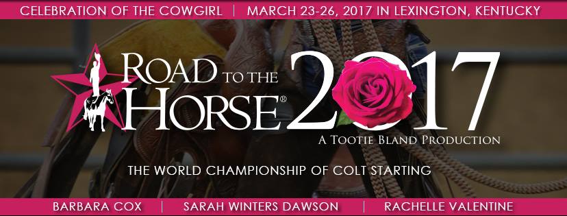 Road to the Horse 2017