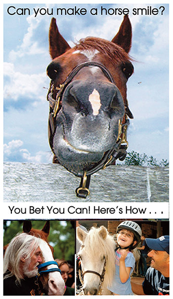 make-horse-smile-animal-planet-equus-foundation Help Horses