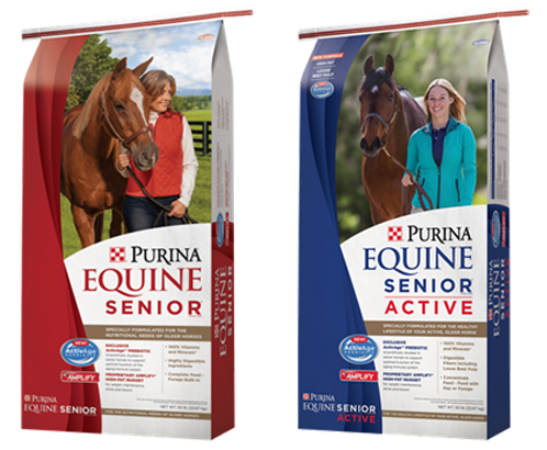 Your month your horse image