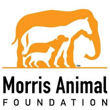 morris-animal-foundation-logo Stem Cell