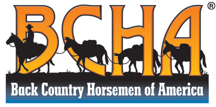 bcha-logo BCH Education Foundation