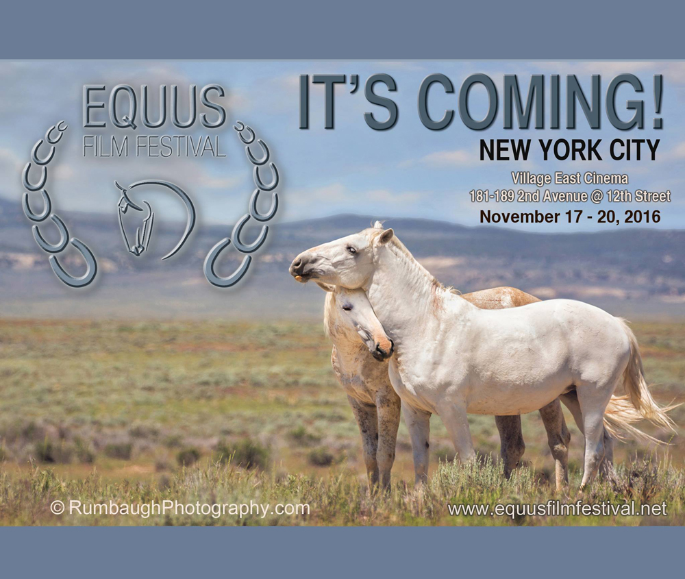 Equus Film Festival