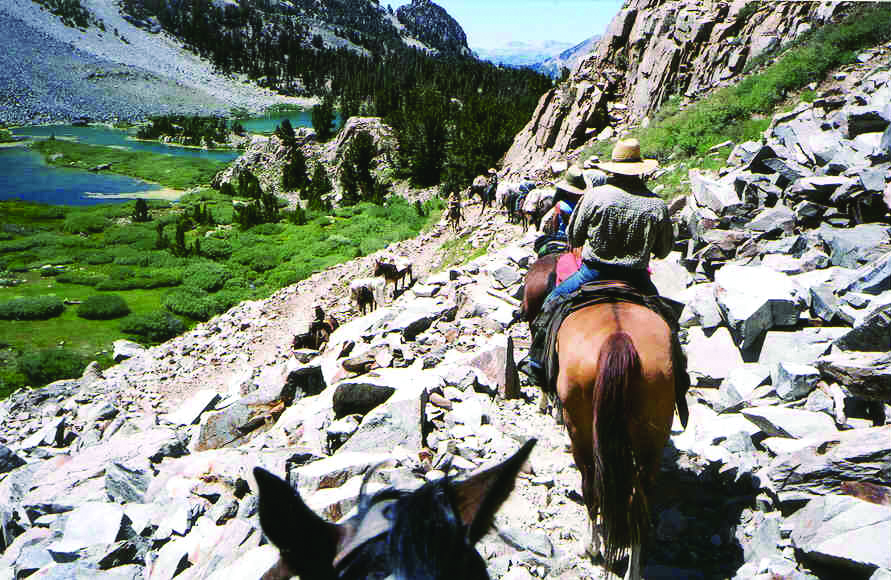 Discover UC Davis Extension Summer Horsepacking Adventures for Outdoor