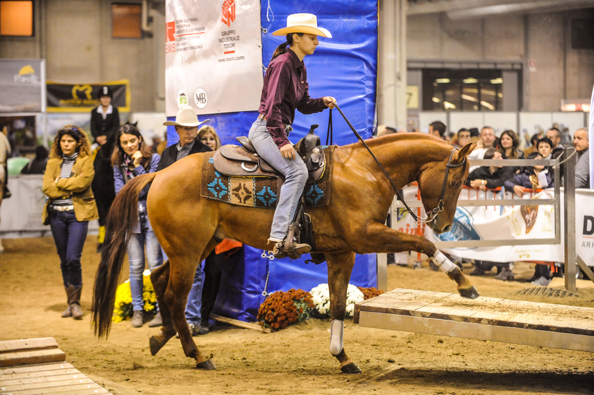 Washington State Horse Expo Proudly Announces... Marketplace The