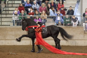 20th annual Northwest Horse Fair & Expo