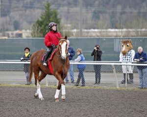 Emerald Downs