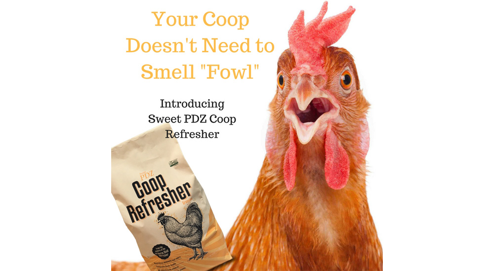 Big Block Sweet PDZ Coop Refresher The Northwest Horse Source