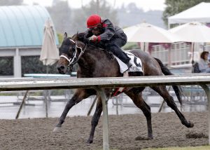 Emerald Downs