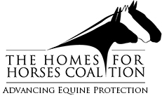 Equine Rescue