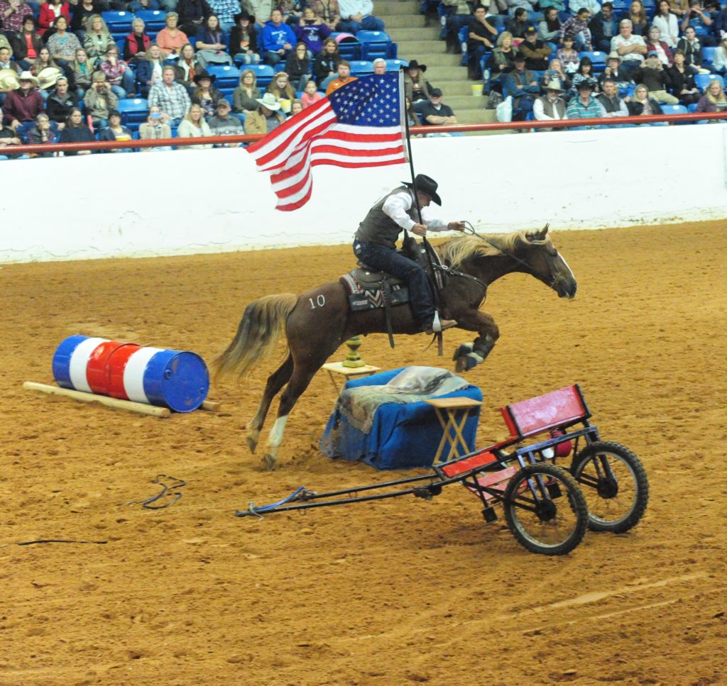 Extreme Mustang Makeover Heads to Fort Worth for its Final and Largest