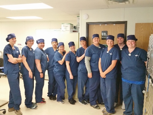 Pima Medical Institute's First Veterinary Technician Graduating Class  Passes Licensing Exam - NW Horse Source