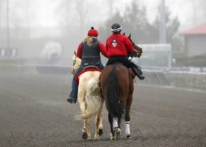 The Horses Are Back at Emerald Downs
