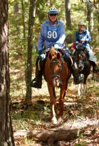Arabian the Top NATRC Horse in 2017