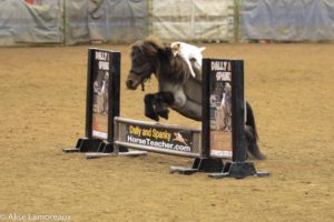 Northwest Horse Fair and Expo 2018