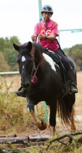 competitive trail riding
