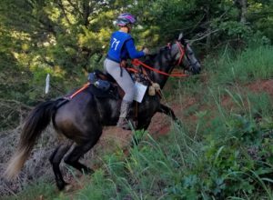 competitive trail riding