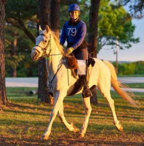 competitive trail riding