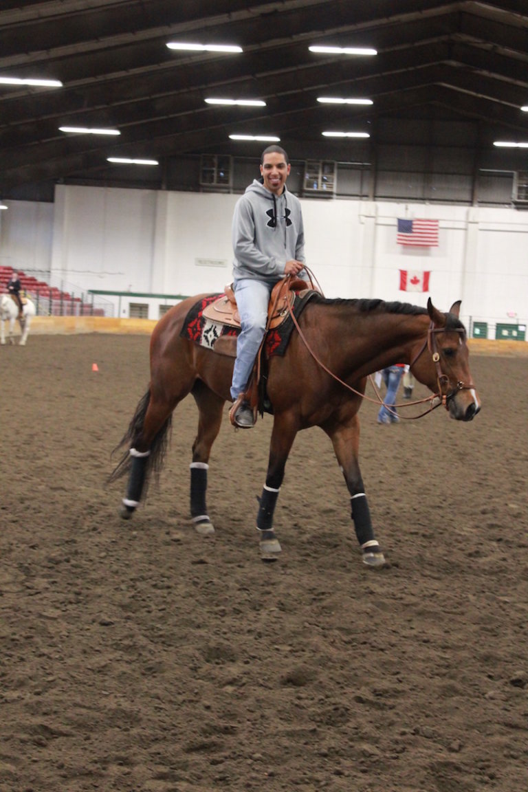 New to Lynden, Washington—Novice Rookie Show! The Northwest Horse Source