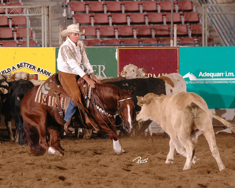 Idaho Veterinarians Perform First in U.S. Combination Regenerative